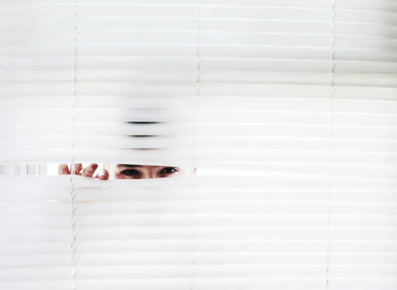 The Eyes Next Door: How Ordinary Citizens Became History's Most Effective Surveillance Network