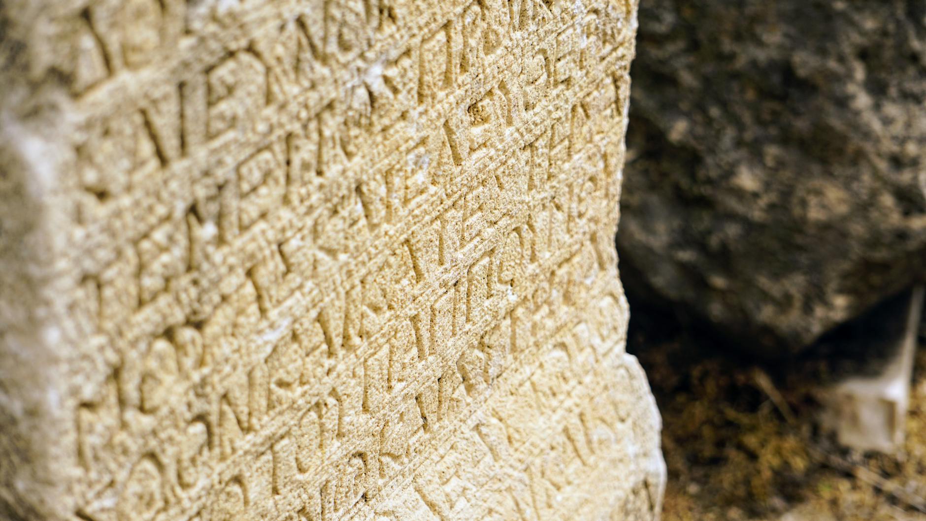 The Oldest Panic in the World: Why Adults Have Always Believed Young People Are the End of Everything