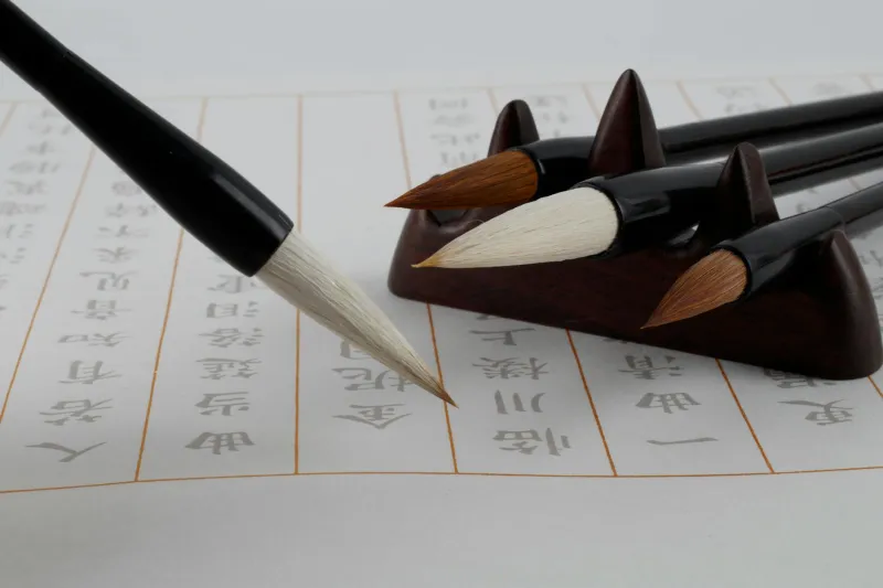 The Rigged Game: Why Every Meritocracy in History Has Been a Myth