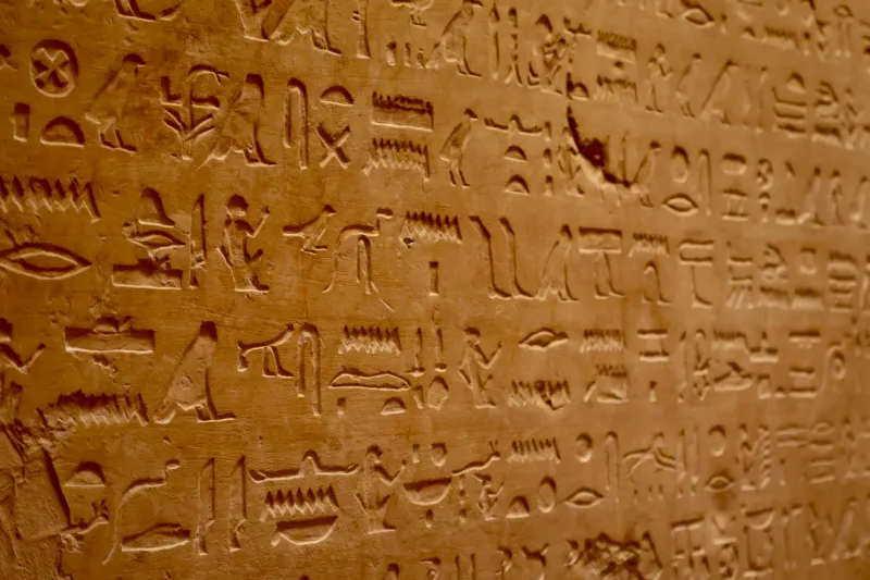 Written in Stone, Ignored in Practice: The Eternal Gap Between Official Rules and Real Behavior